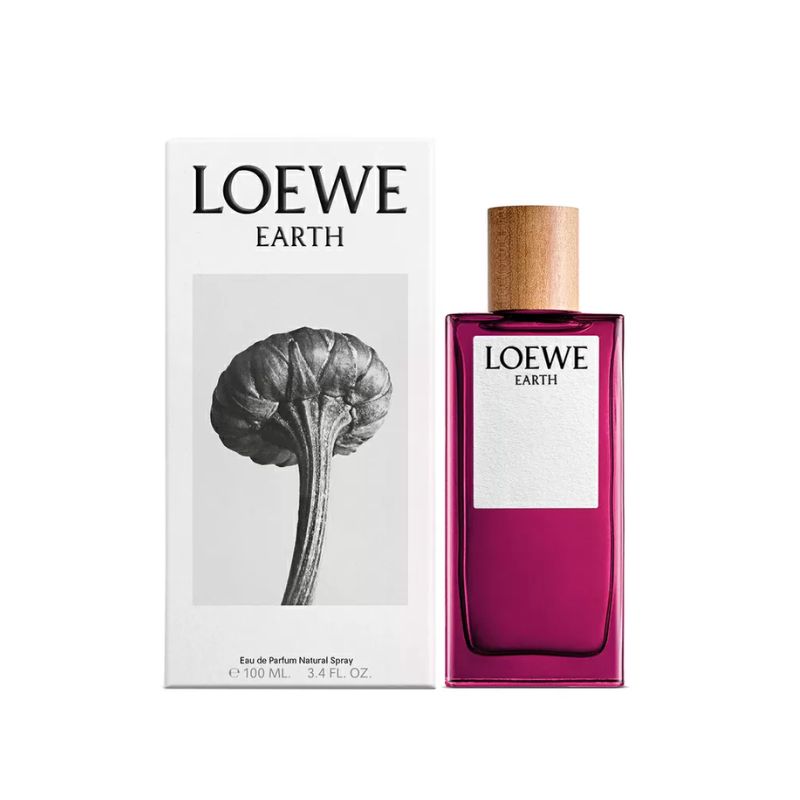 Loewe Earth