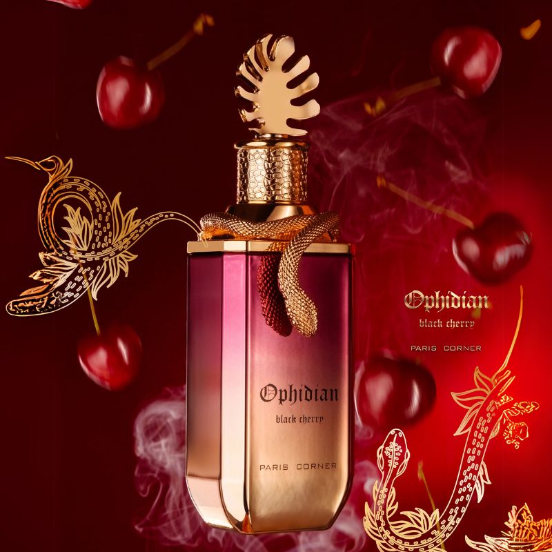 Paris Corner Ophidian Black Cherry