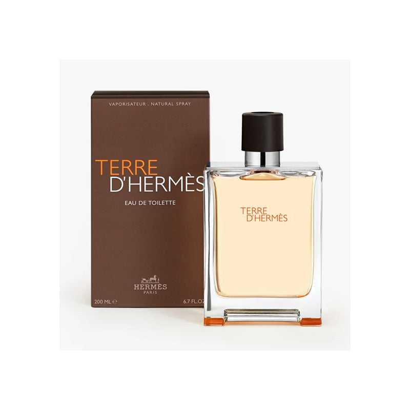 Hermes Terre d’Hermès — perfume hombre original en Colombia | Disfragancias