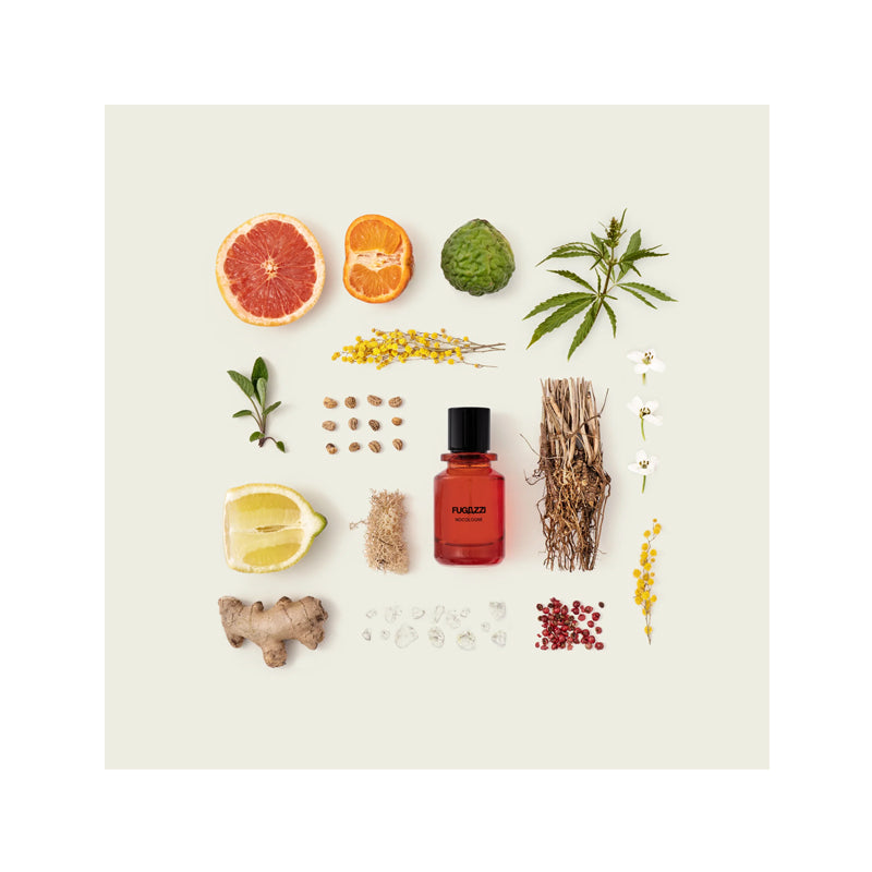 Fugazzi Nocologne — perfume unisex original en Colombia | Disfragancias